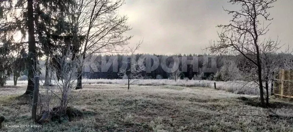 Участок в Брянская область, Брянский район, Журиничское с/пос, с. ... - Фото 2