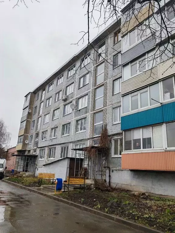 1-к кв. Тульская область, Чернь рп ул. Коммунаров, 23 (30.5 м) - Фото 1