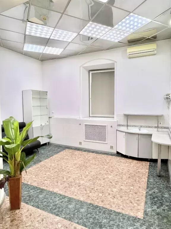 Помещение свободного назначения в Архангельская область, Архангельск ... - Фото 2