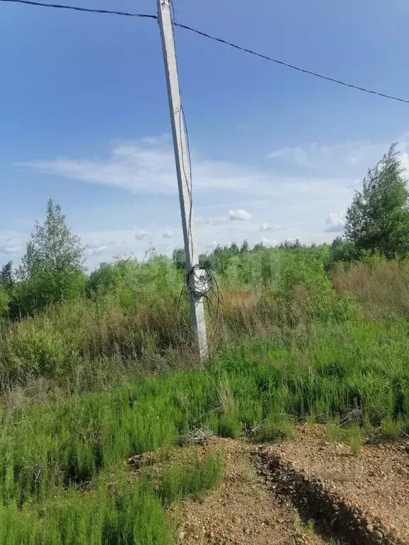 Участок в Амурская область, Благовещенский район, Станичное тер.  ... - Фото 1