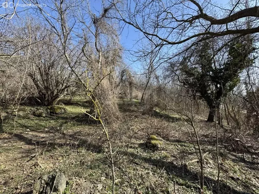 Участок в село Лучистое, улица имени Ю. Никулина (176 м) - Фото 1