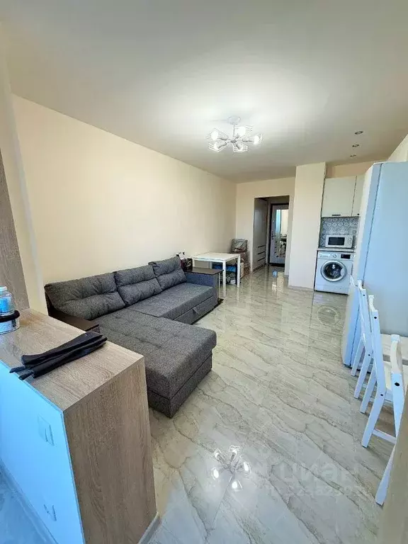 Студия Ленинградская область, Мурино Всеволожский район, просп. ... - Фото 1