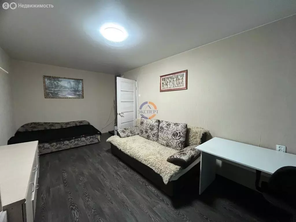 1-комнатная квартира: деревня Григорово, Центральная улица, 9 (29.9 м) - Фото 1