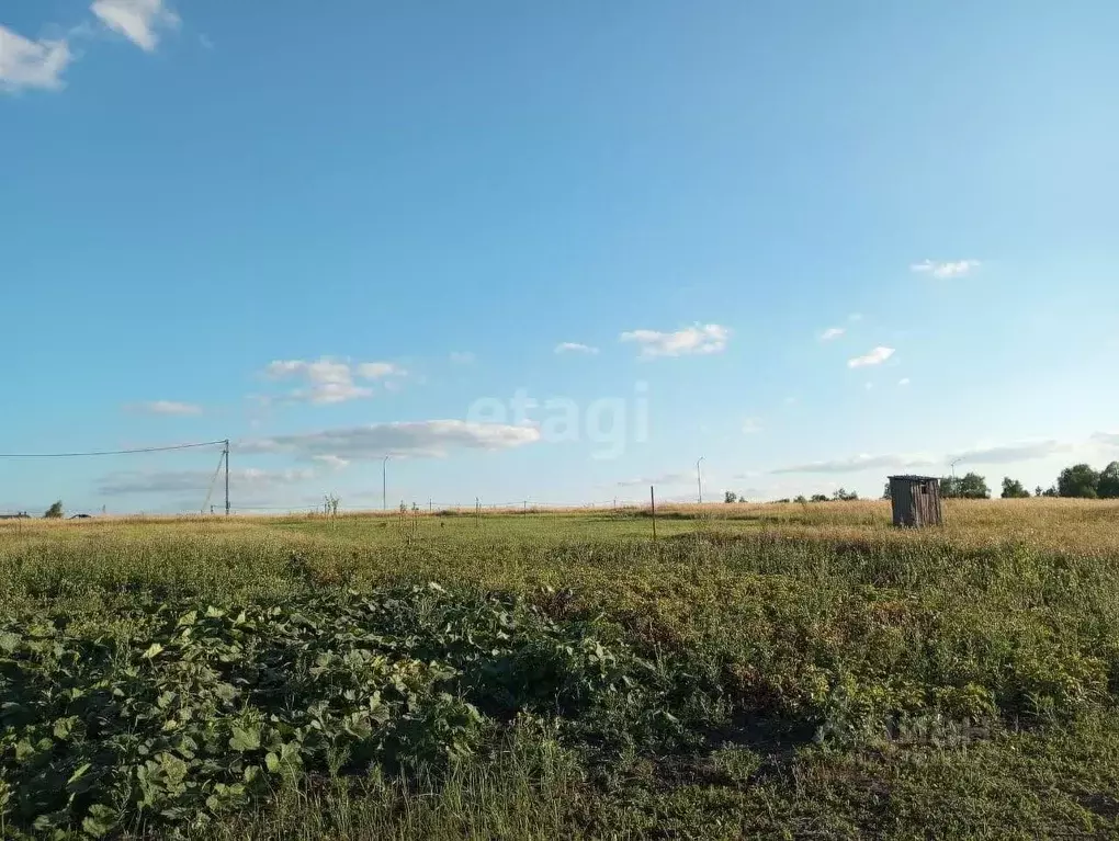 Участок в Белгородская область, Яковлевский городской округ, с. ... - Фото 1