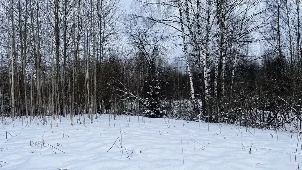 Участок в Московская область, Дмитровский муниципальный округ, д. ... - Фото 2