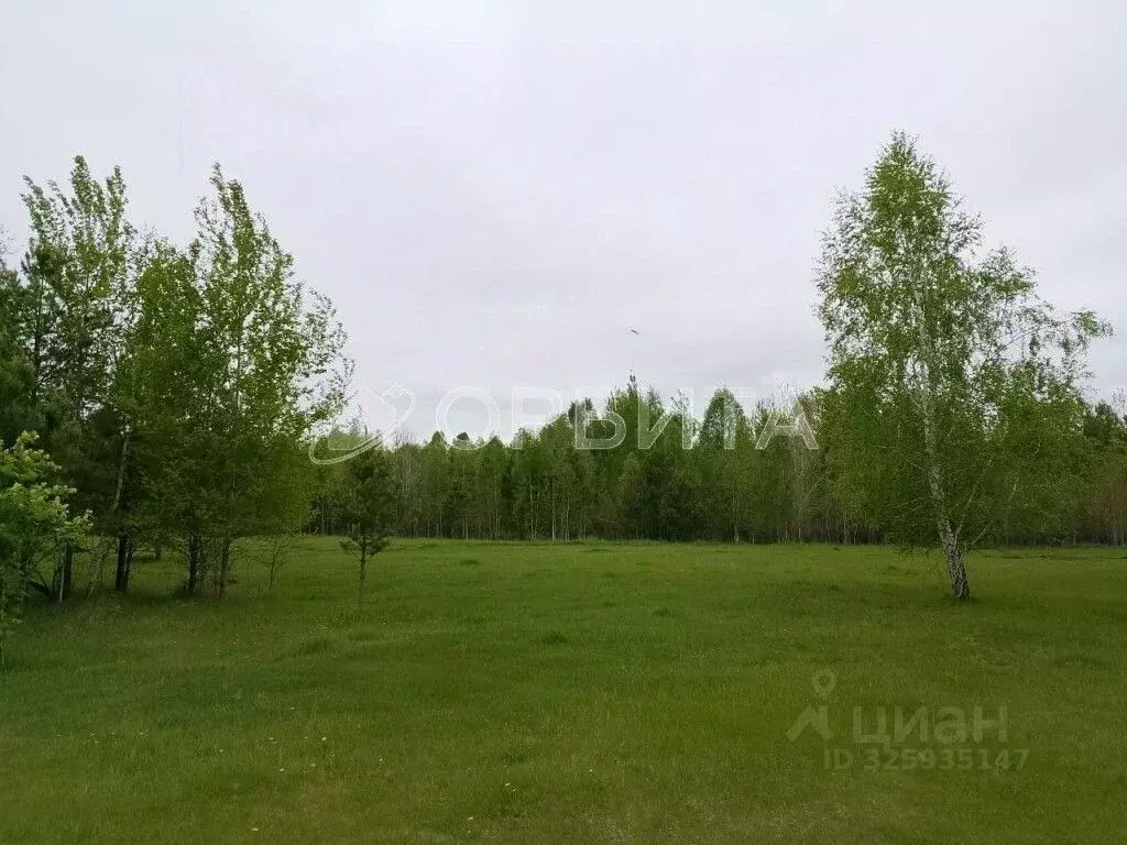 Участок в Тюменская область, Нижнетавдинский муниципальный округ, ... - Фото 1