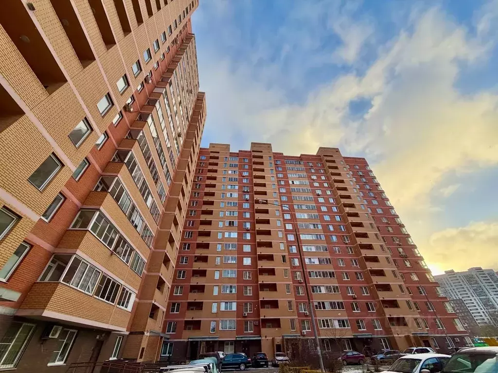 2-к кв. Московская область, Балашиха Новое Павлино мкр, ул. Троицкая, ... - Фото 2