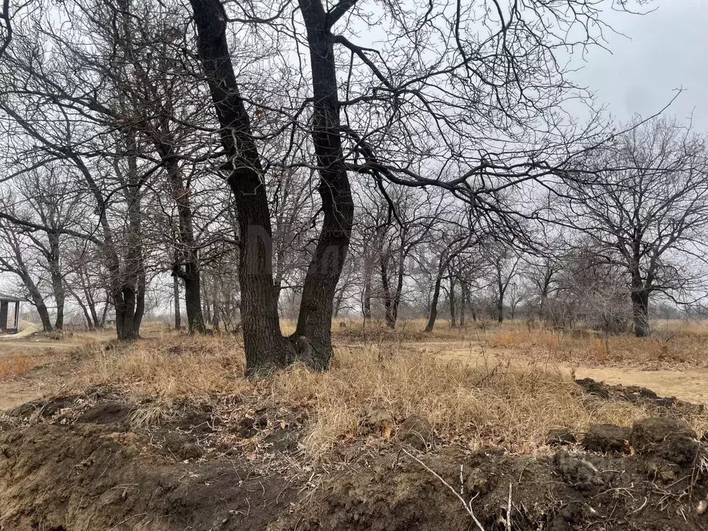 Участок в Волгоградская область, Краснослободск Среднеахтубинский ... - Фото 0