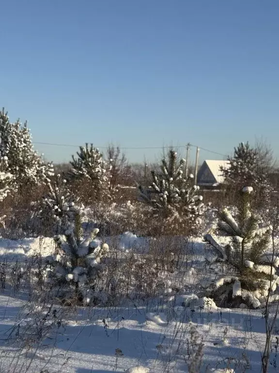 Участок в Челябинская область, Сосновский муниципальный округ, с. ... - Фото 1