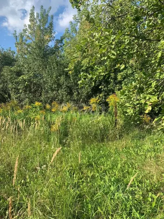 Участок в Калужская область, Калуга городской округ, с. Некрасово ул. ... - Фото 0