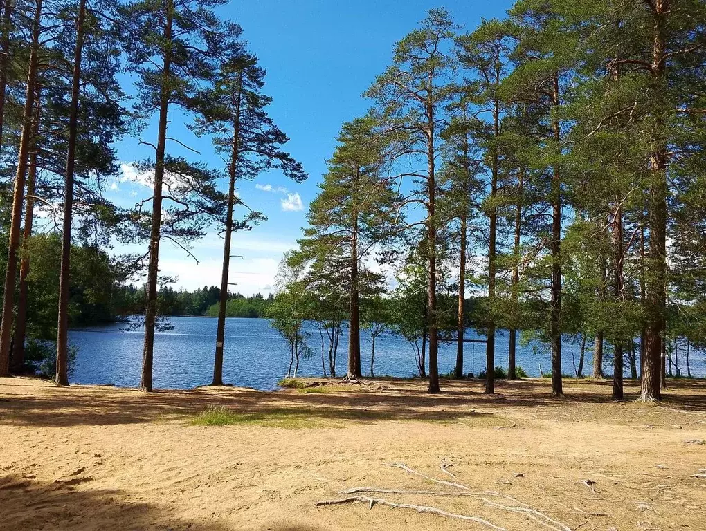 Дом в Ленинградская область, Выборгский район, Красносельское с/пос, ... - Фото 1
