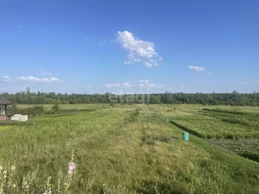 Участок в Белгородская область, Старооскольский городской округ, с. ... - Фото 0