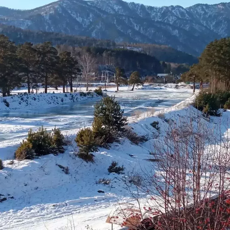 Дом в Алтай, Чемальский район, с. Чемал Курортная ул., 34 (64 м) - Фото 2
