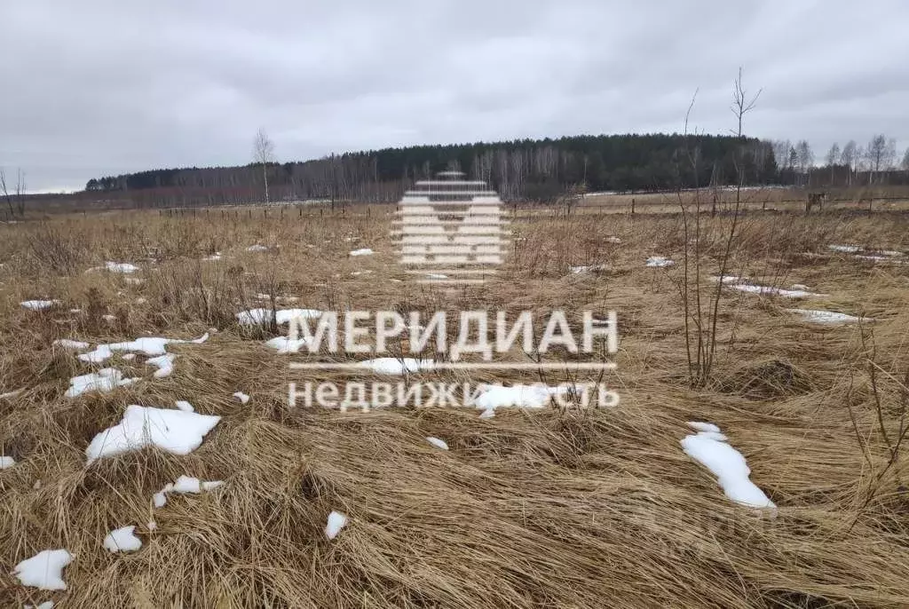 Нижний новгород деревни подлесово. Нижегородская купавна. Горный борок. Горный борок. Горный борок.