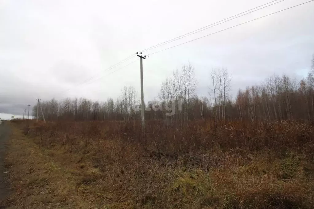 Участок в Свердловская область, Кушва  (15.4 сот.) - Фото 1