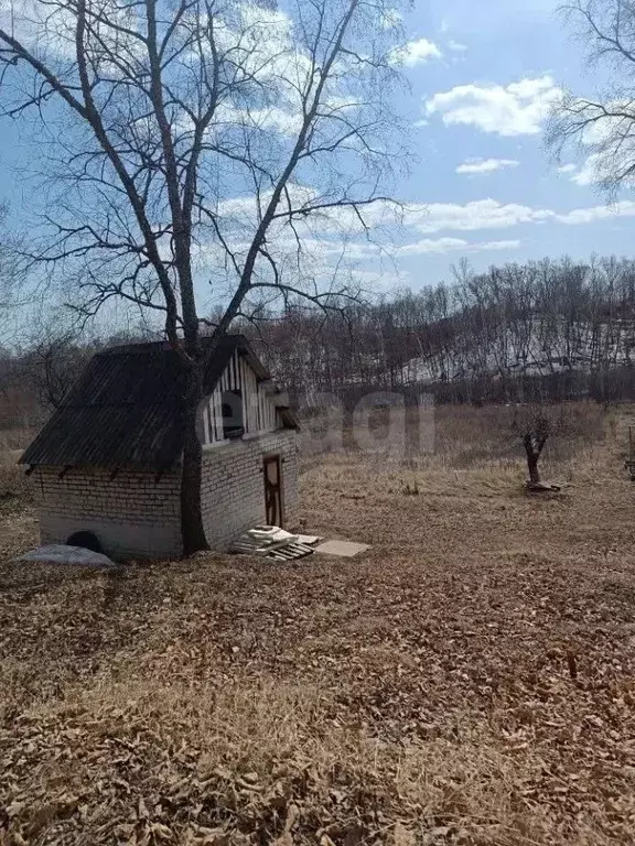 Участок в Амурская область, Благовещенский район, с. Кантон-Коммуна ... - Фото 1