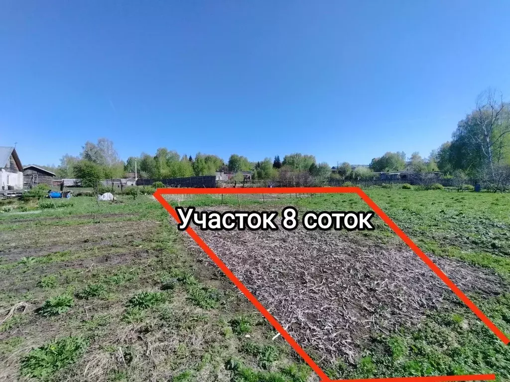 Участок в Новосибирская область, Новосибирский район, Барышевский ... - Фото 1