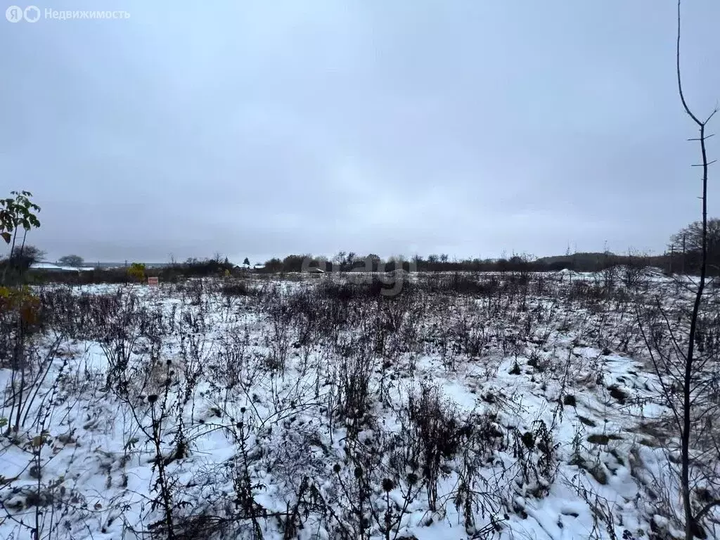 Участок в село Русская Гвоздёвка, улица Ленина (53.5 м) - Фото 1