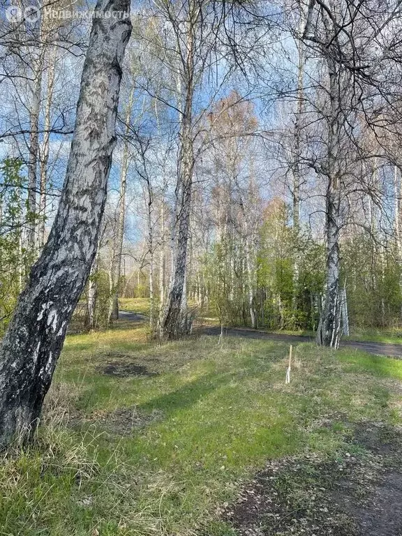 Участок в Тюменский муниципальный округ, деревня Коняшина, Луговая ... - Фото 2