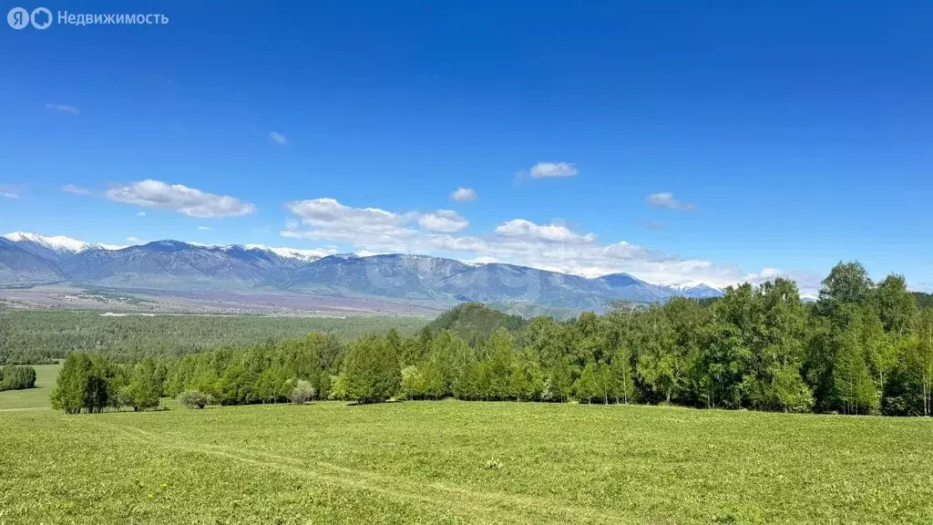 Участок в Усть-Коксинский район, село Мульта (310.01 м) - Фото 1
