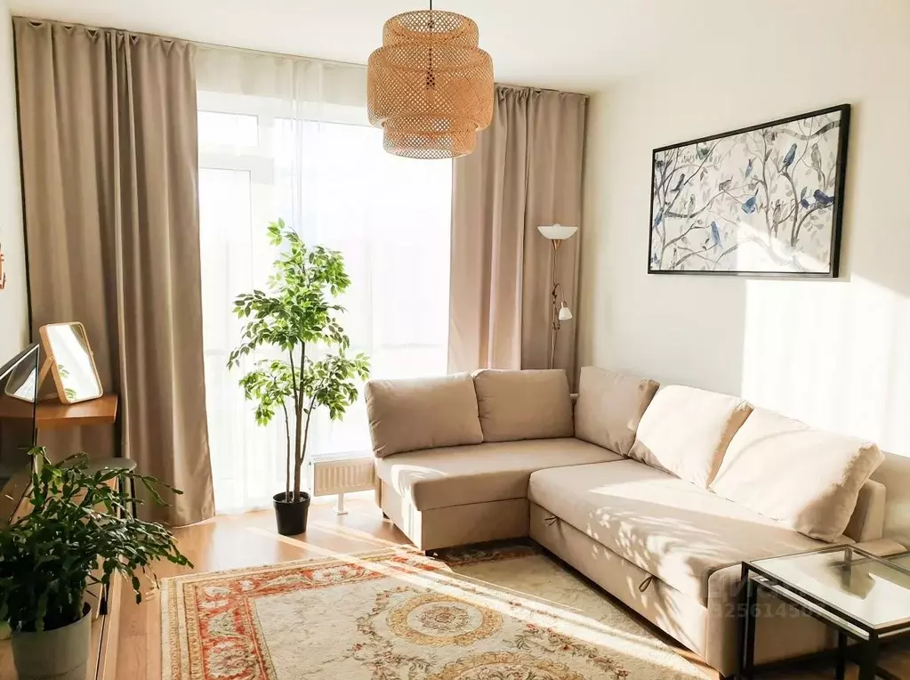 Студия Краснодарский край, Сочи Курортный просп., 68/3 (35.0 м) - Фото 1