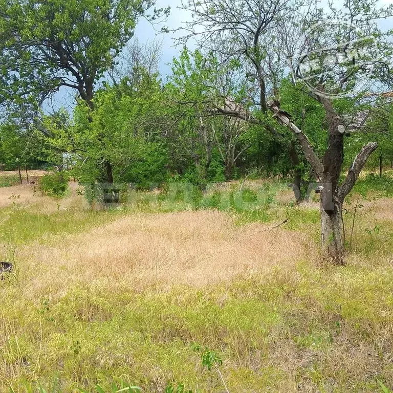 Участок в Ростовская область, Новочеркасск Малинка СТ,  (6.0 сот.) - Фото 0