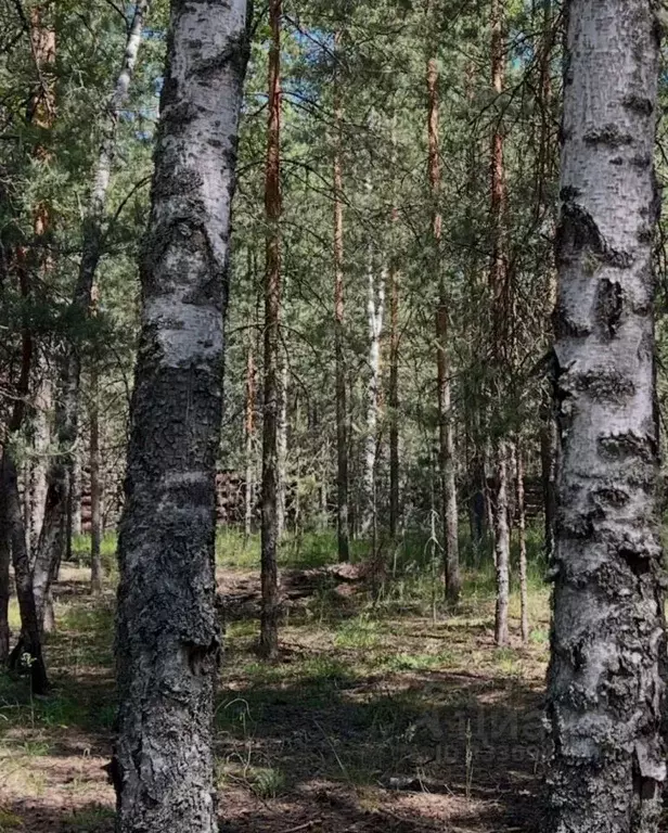 Участок в Нижегородская область, Володарский муниципальный округ, ... - Фото 1