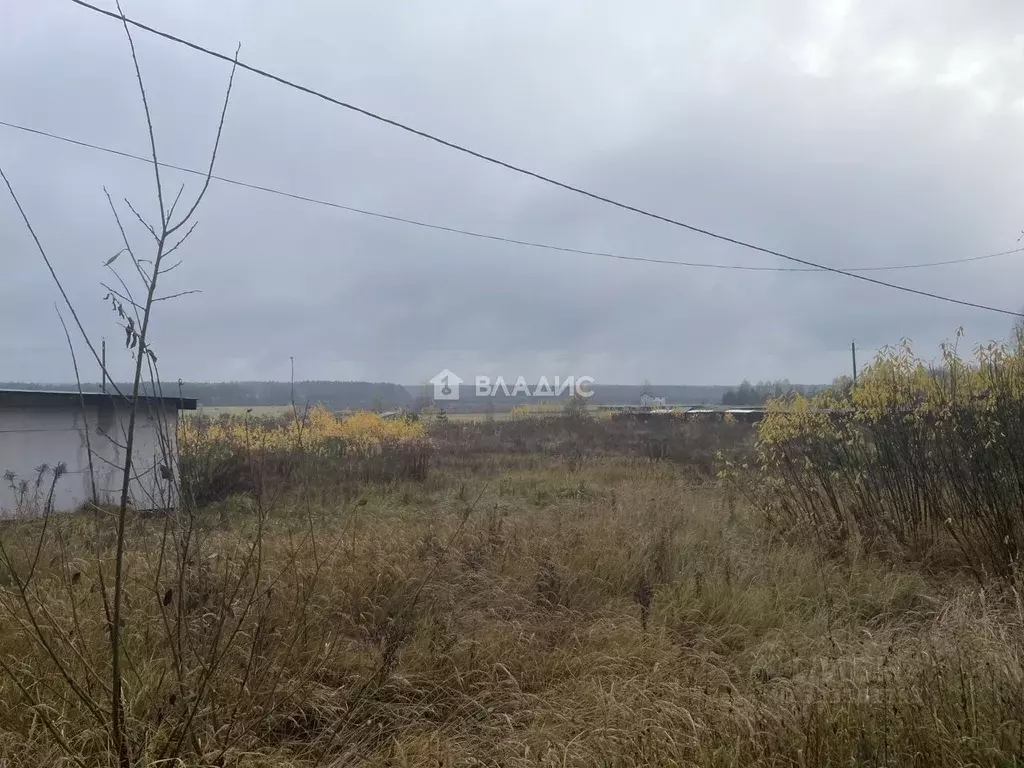 Участок в Владимирская область, Судогодский район, с. Чамерево ул. ... - Фото 2