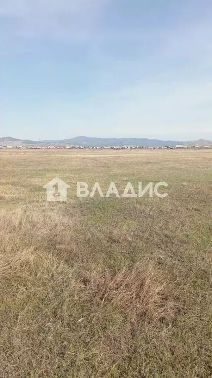 Участок в Бурятия, Иволгинский район, Нижнеиволгинское с/пос, Хойтобэе ... - Фото 2