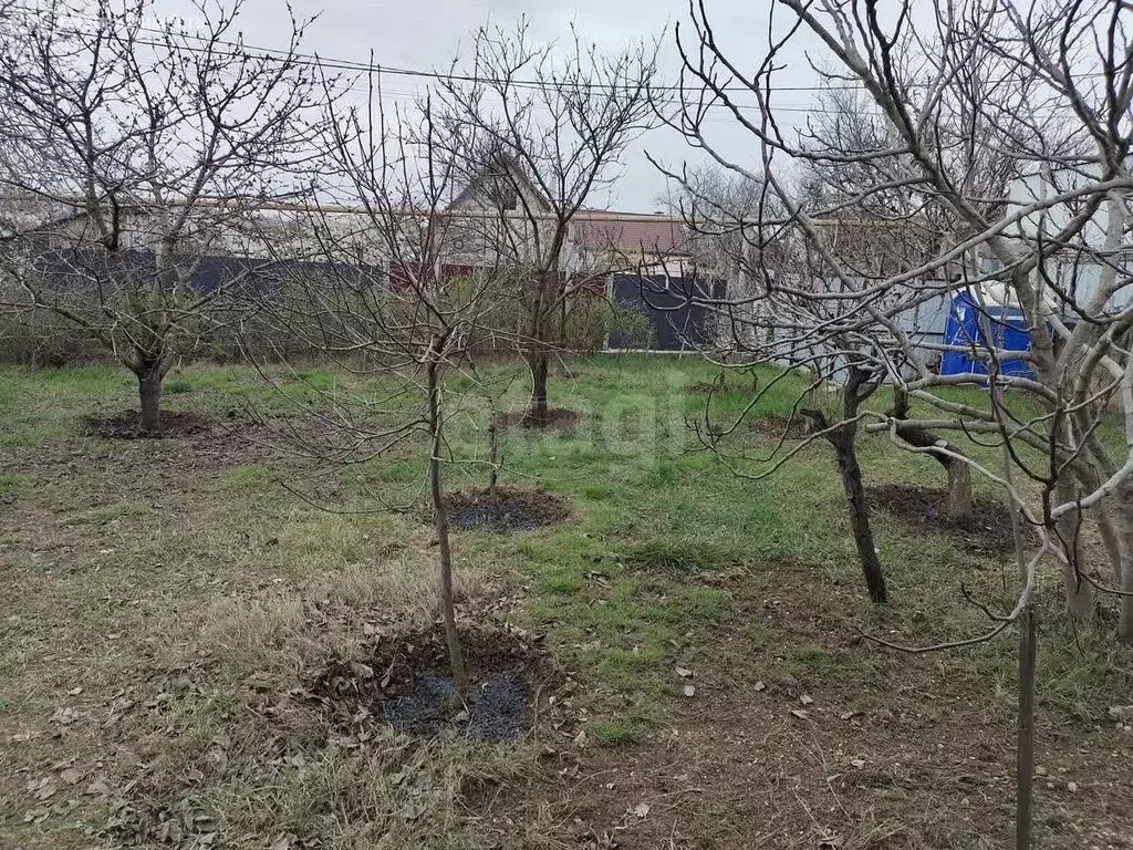 Участок в Севастополь, СНТ Сапун-гора (4 м) - Фото 2