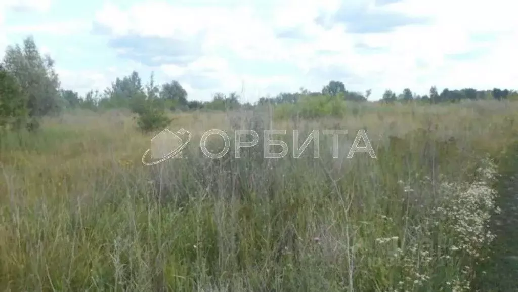 Участок в Тюменская область, Тюмень Корабельщик садовое товарищество, ... - Фото 0