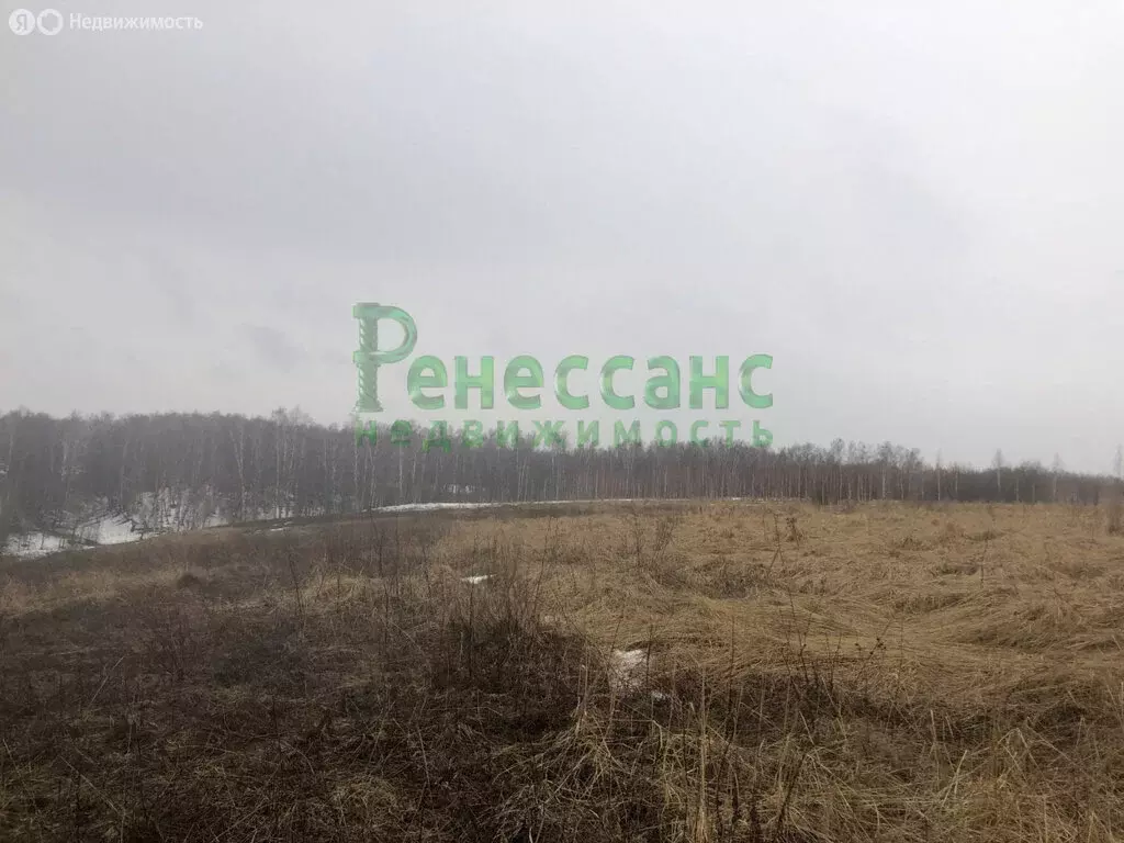 Участок в Заречье, Заречная улица, 1 (100 м) - Фото 1