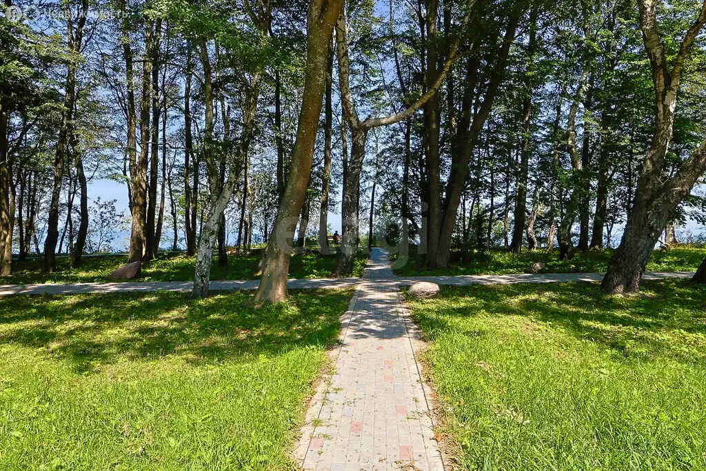 1-комнатная квартира: посёлок Лесное, Дюнная улица, 21к3 (36.4 м) - Фото 2
