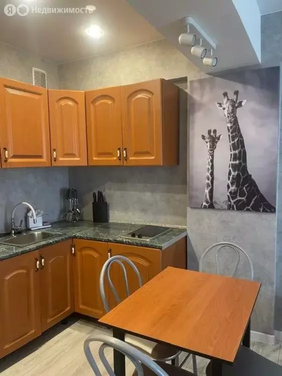 Квартира-студия: Иркутск, Братская улица, 7/12 (28.9 м) - Фото 1