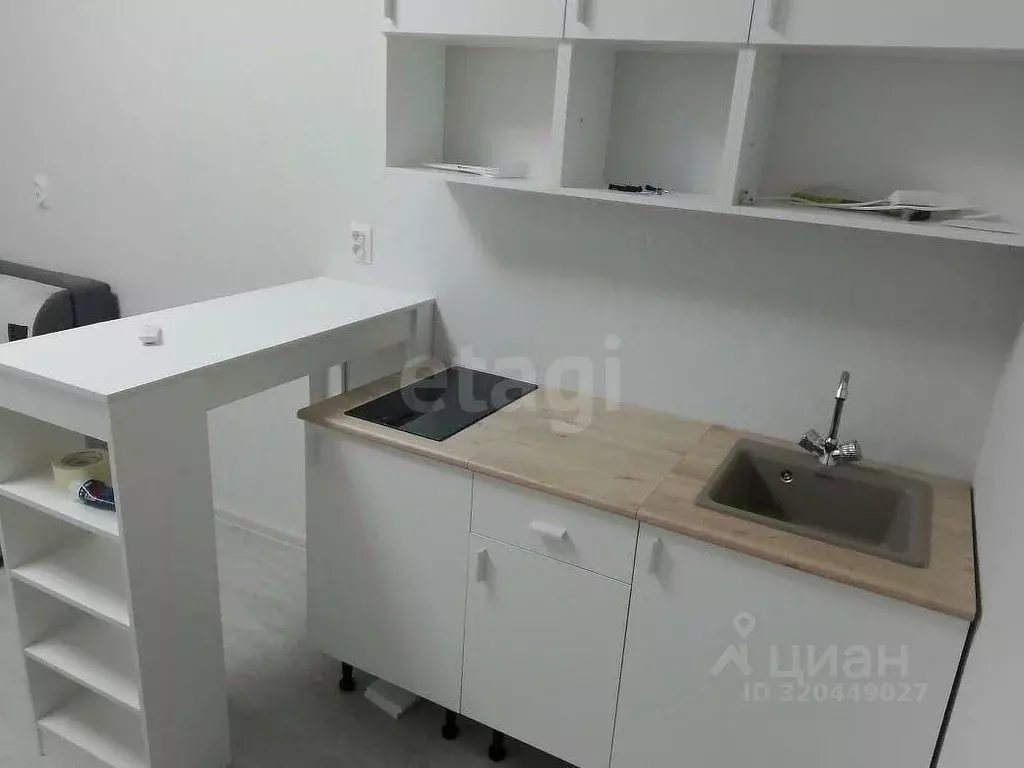 Студия Мордовия, Саранск ул. Анны Лусс, 7В (21.0 м) - Фото 1