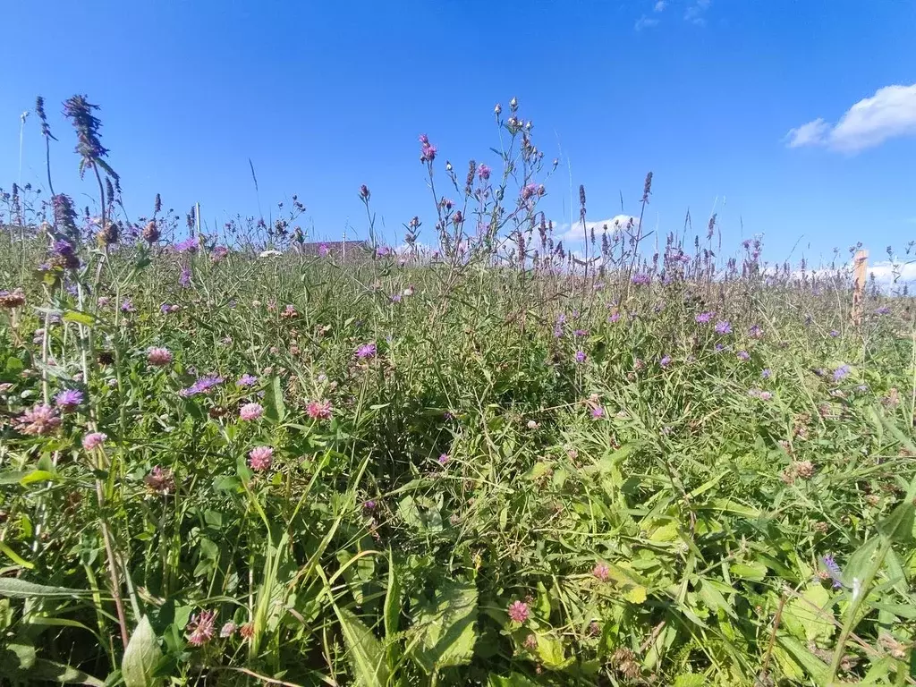 Участок в Калужская область, Калуга Московский кп, ул. Героя России ... - Фото 1
