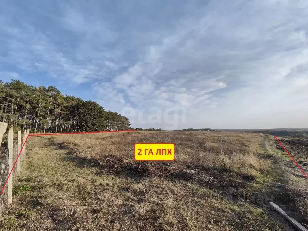 Участок в Крым, Бахчисарайский район, Ароматненское с/пос, с. ... - Фото 1