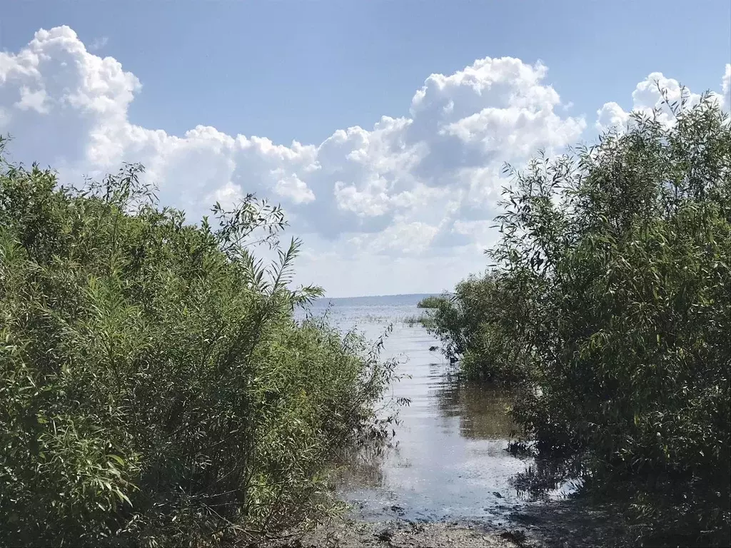 Участок в Новгородская область, Шимское городское поселение, д. Оспино ... - Фото 0