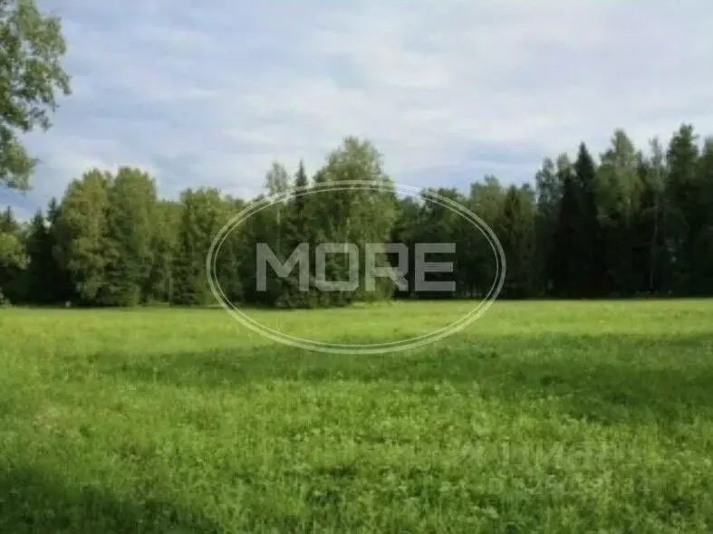 Участок в Калининградская область, Гурьевский муниципальный округ, ... - Фото 2