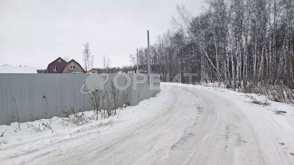 Участок в Тюменская область, Тюмень Медик СНТ, ул. Морковная, 87 (6.2 ... - Фото 2