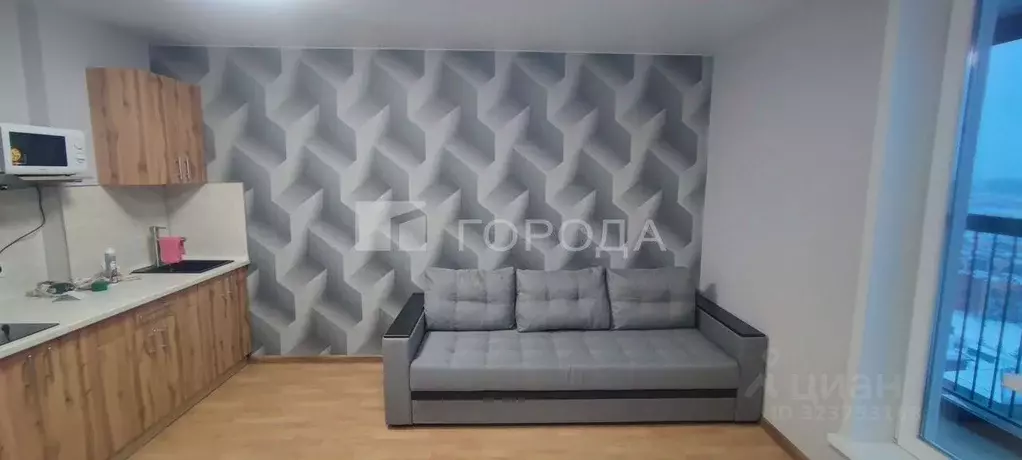 Студия Новосибирская область, Новосибирск Затулинский жилмассив, ул. ... - Фото 1