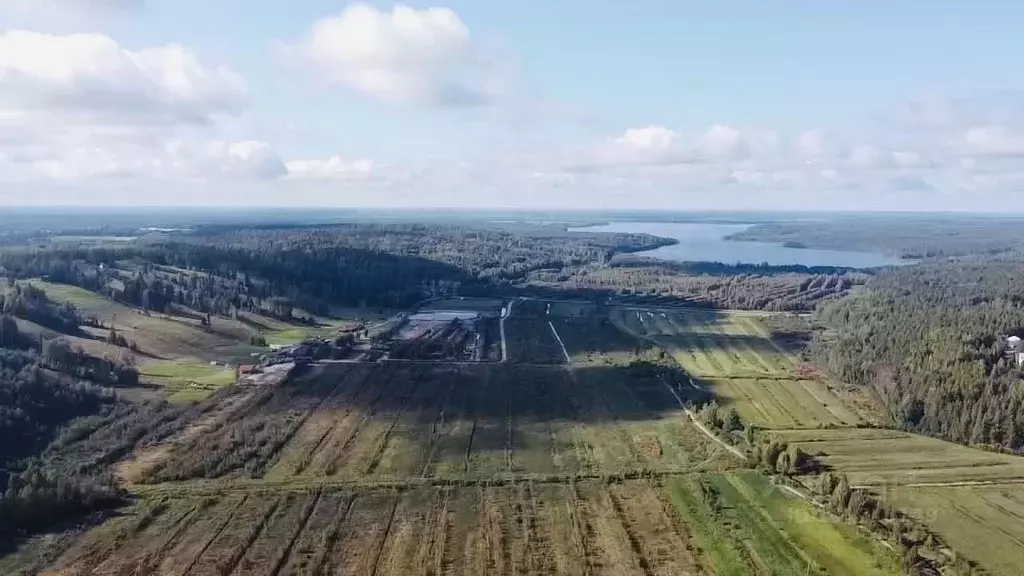 Участок в Ленинградская область, Приозерский район, Красноозерное ... - Фото 0