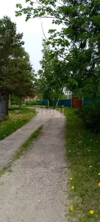 Дом в село Скворцово, СНТ Скворцово (24 м) - Фото 0