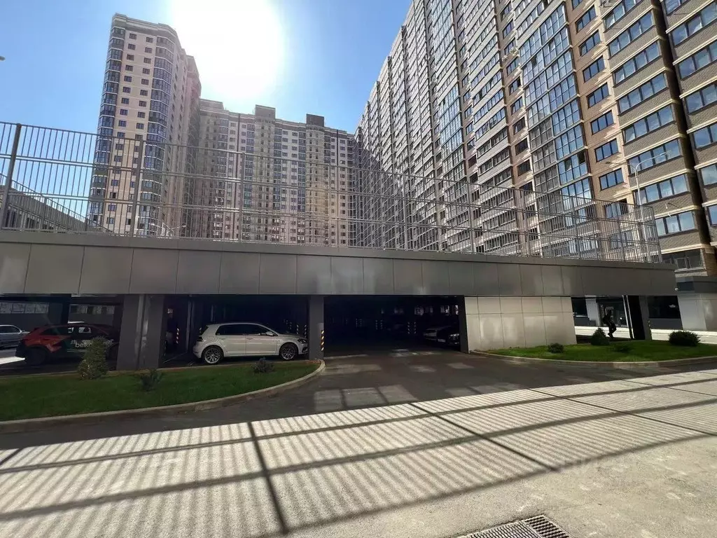 Студия Краснодарский край, Краснодар Российская ул. (23.0 м) - Фото 1