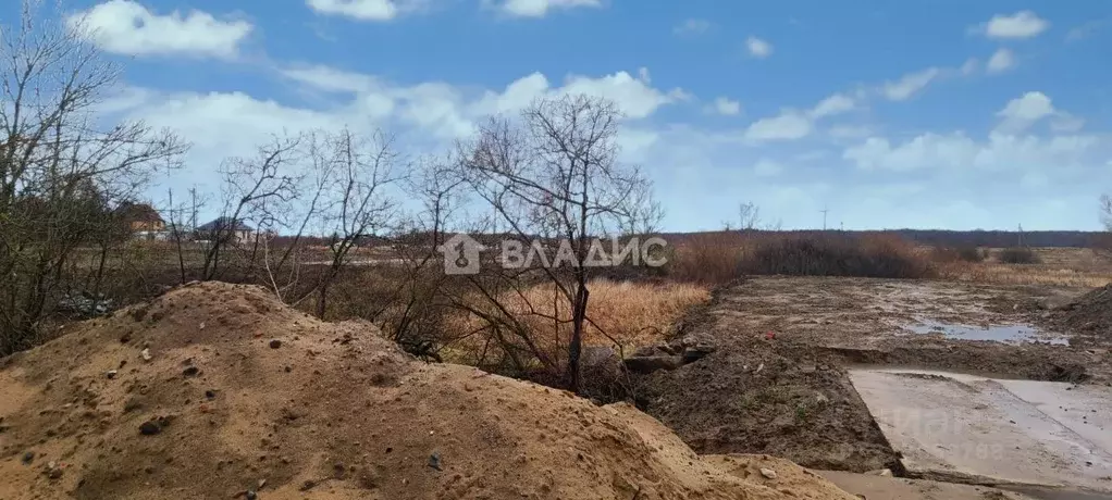 Участок в Калининградская область, Зеленоградский муниципальный округ, ... - Фото 1