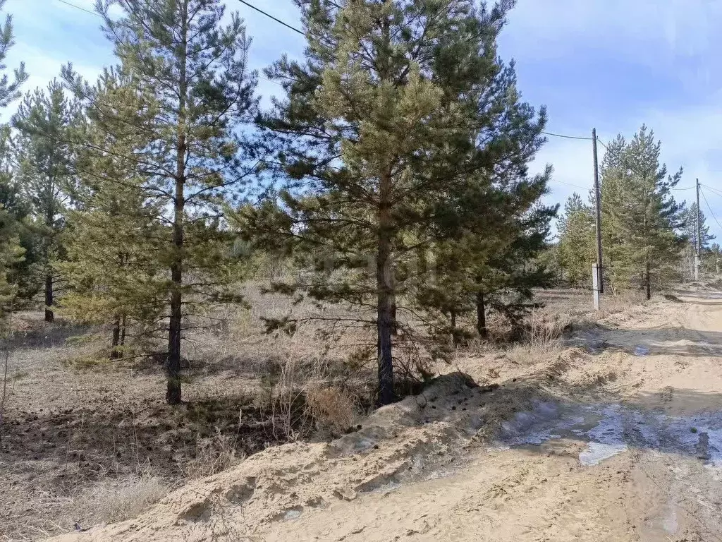 Участок в Бурятия, Улан-Удэ ул. Образцовая, 24 (10.0 сот.) - Фото 2