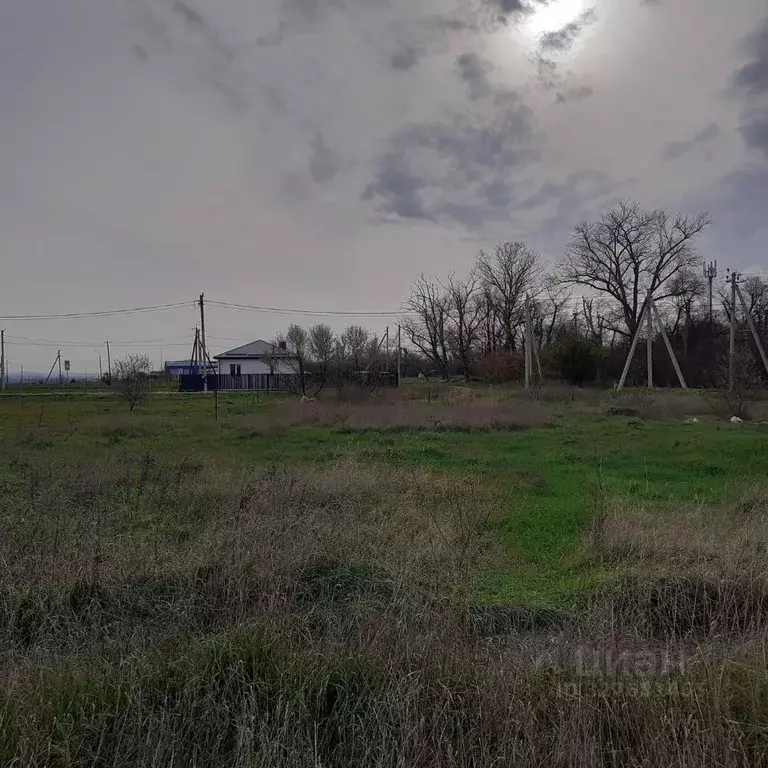 Участок в Краснодарский край, Анапа муниципальный округ, пос. ... - Фото 2