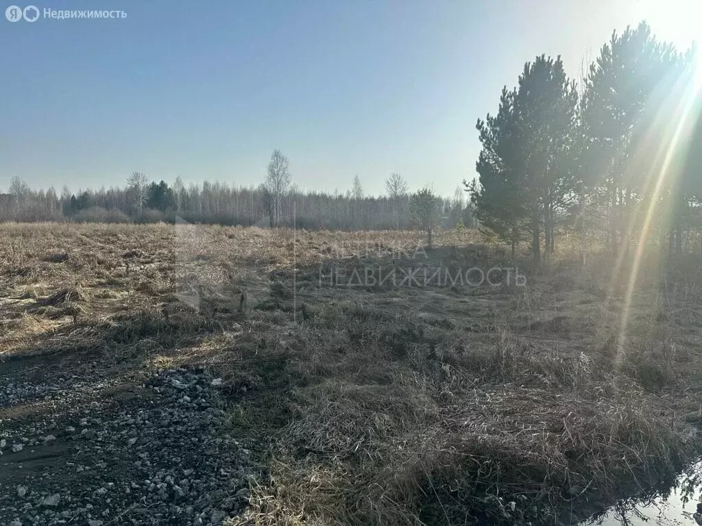 Участок в Тюменская область, Нижнетавдинский муниципальный округ, ... - Фото 2