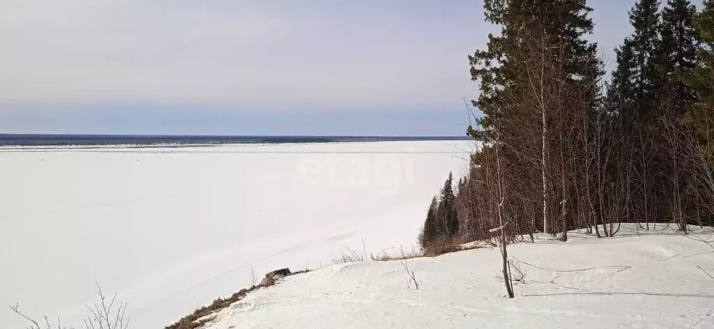 Участок в Коми, Усть-Цилемский район, Коровий Ручей муниципальное ... - Фото 1