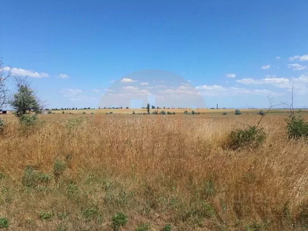 Участок в Крым, Сакский район, с. Орехово ул. Восточная (41.0 сот.) - Фото 2